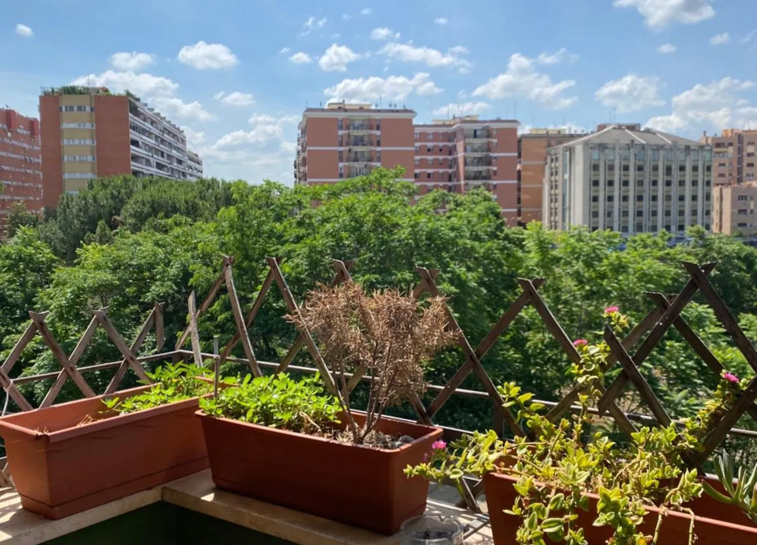 Roma'S Home! Apartment Rome